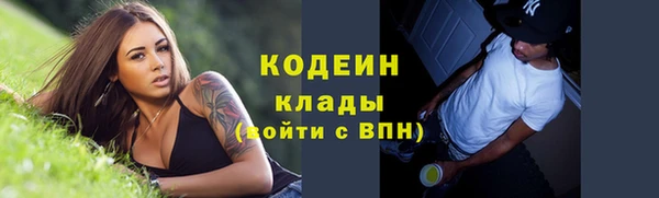 таблы Вяземский