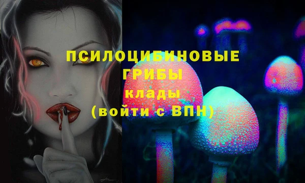 таблы Вяземский