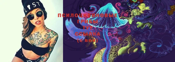 Альфа ПВП Вязьма